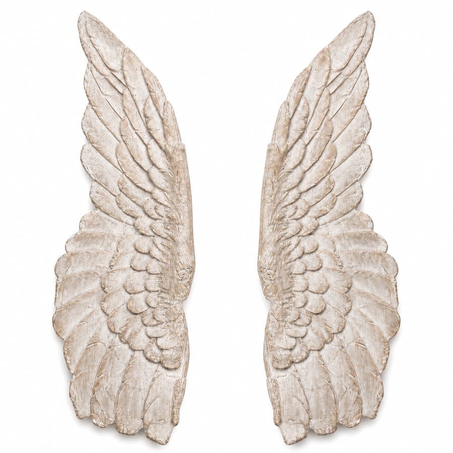 Angel Wings