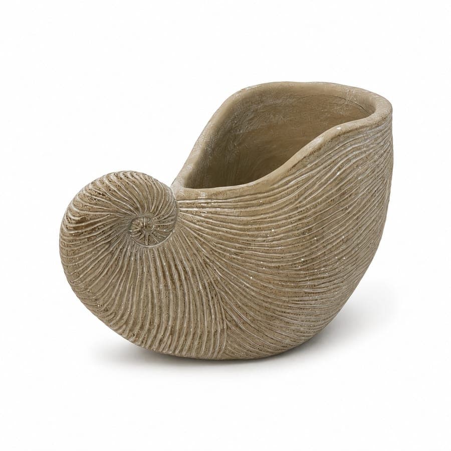 Concrete Conch Shell Lg