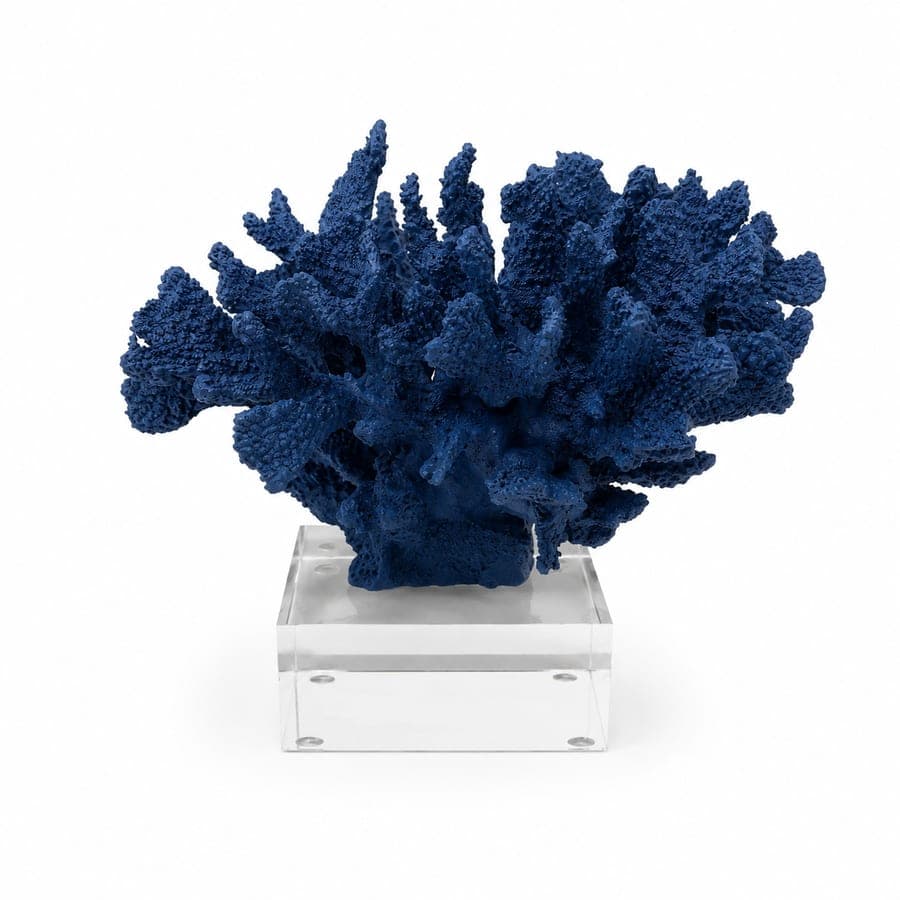 Blue Coral On Acrylic Stand