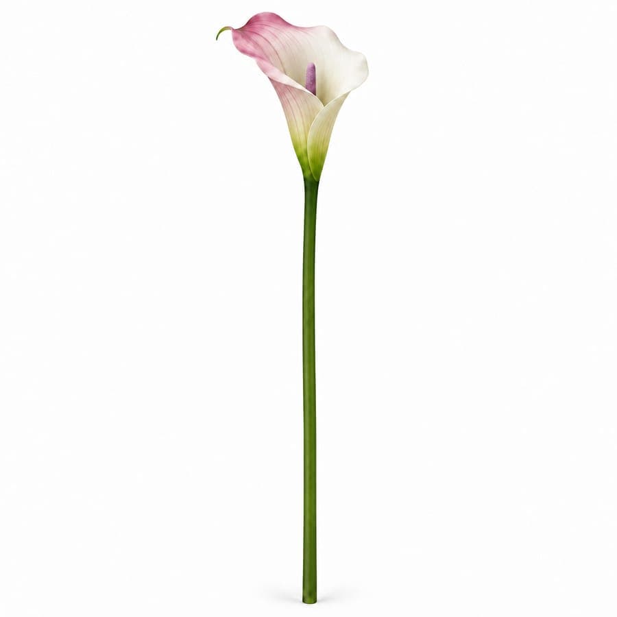 Real Touch Calla Lily