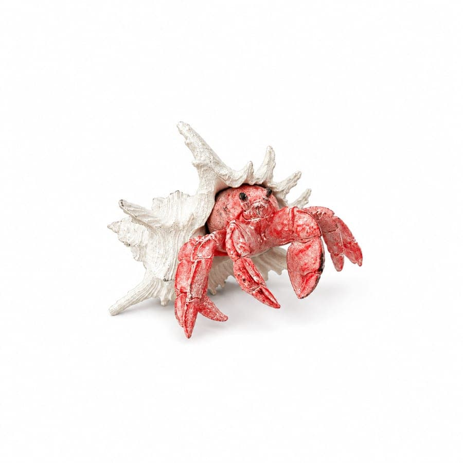 Hermit Crab Sm