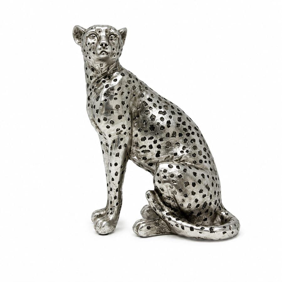 Sitting Leopard