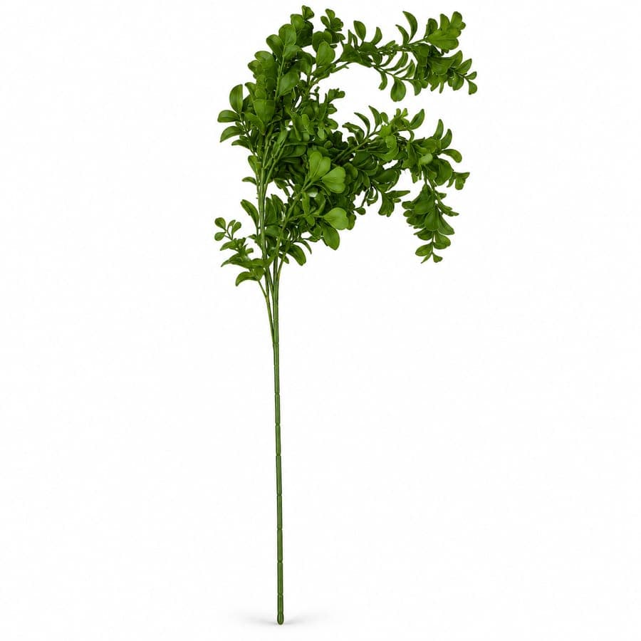 Box Wood Stem