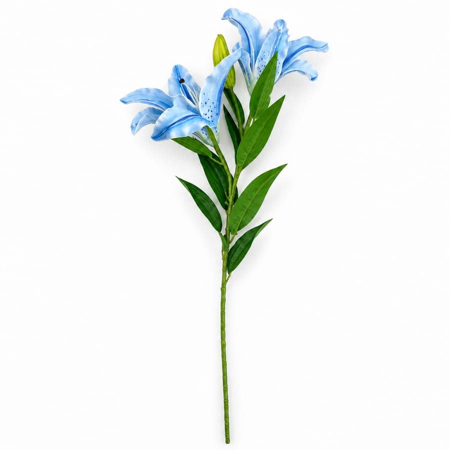 Lily Stem