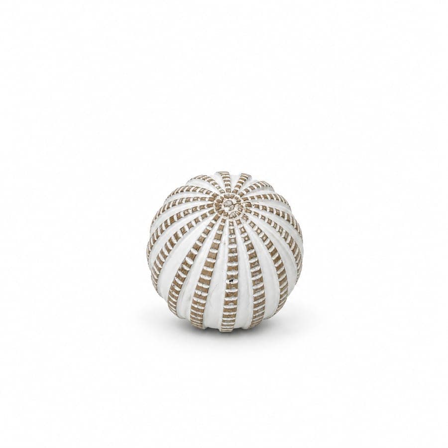 Sea Urchin Accent Sm