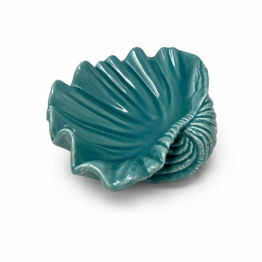 Turquoise Clam