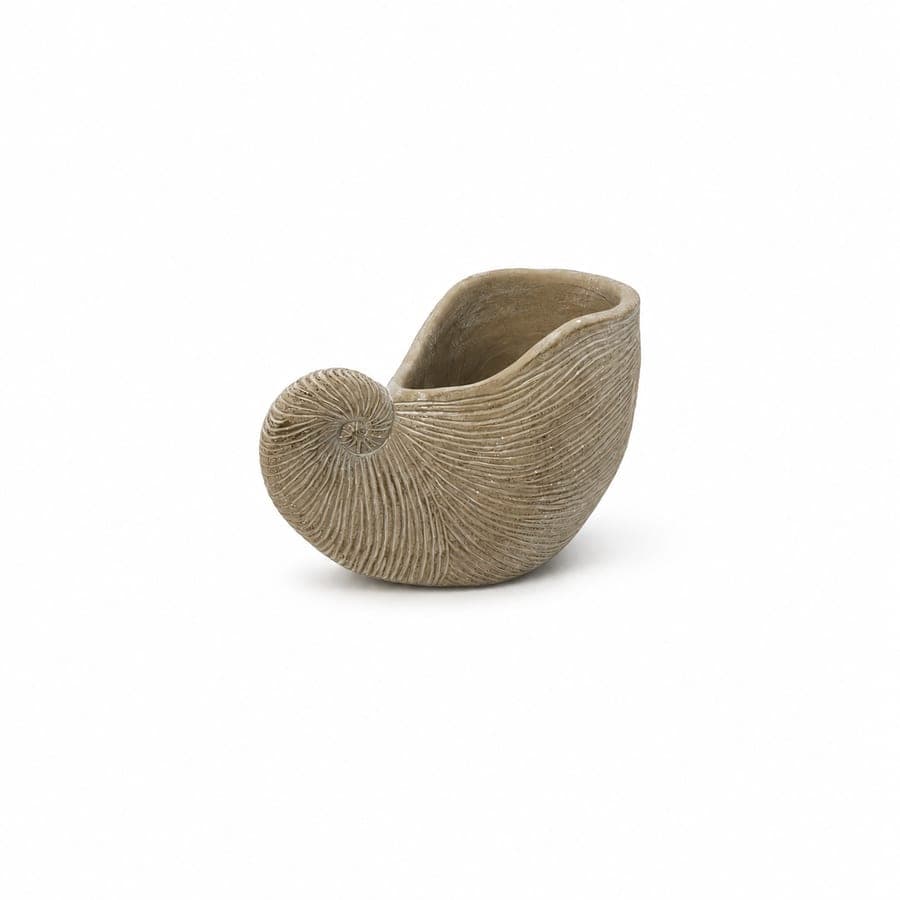 Concrete Conch Shell Sm