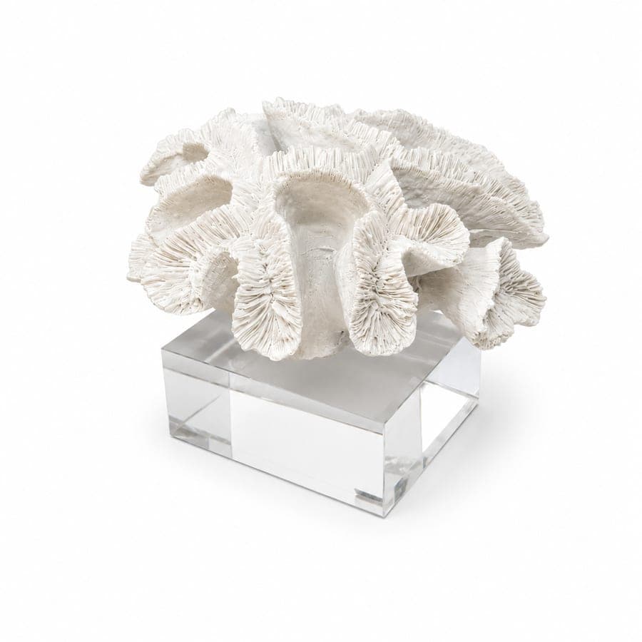 White Coral Med