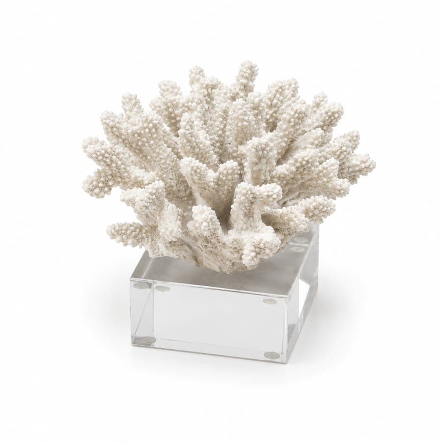 White Coral Sm
