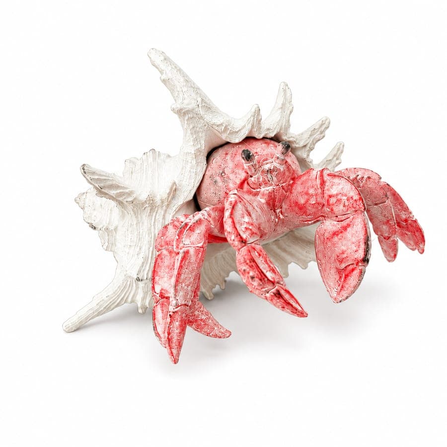Hermit Crab Lg
