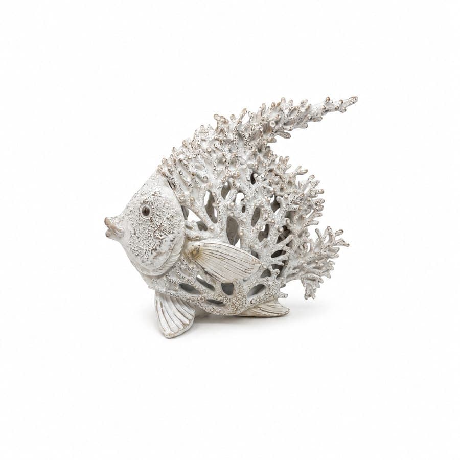 Reefstone Angel Fish