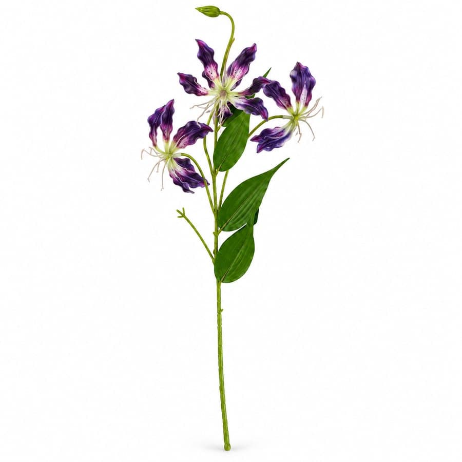 Spider Lily