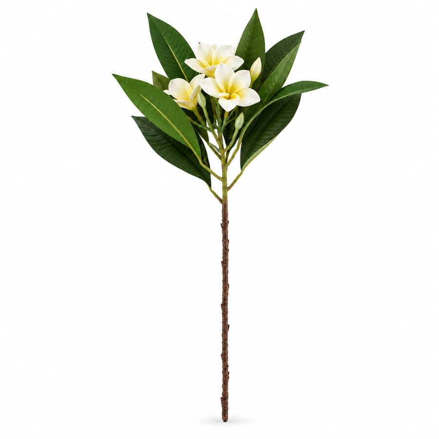 Oleander Flower