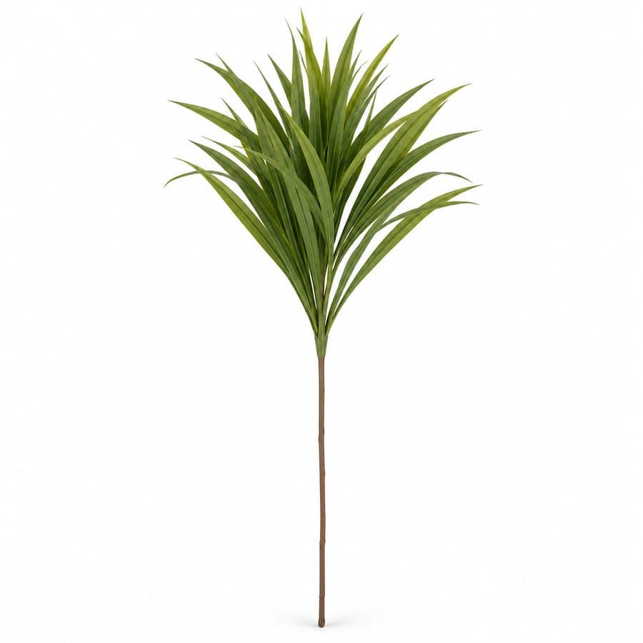 Lemon Grass Stem